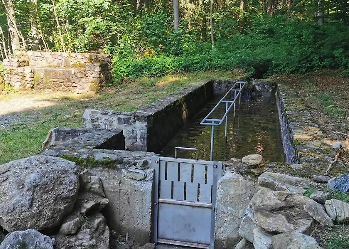 Anno - Wohlfuehl - Idylle In Gruenbach_kirchdorf アパート